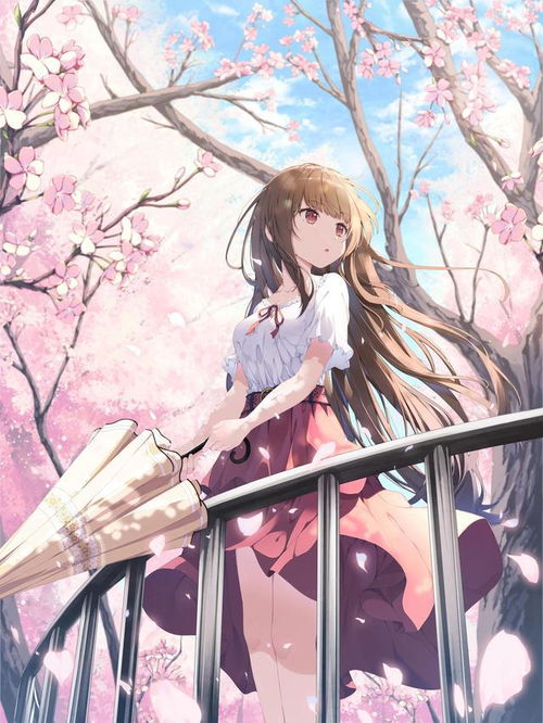 热播5