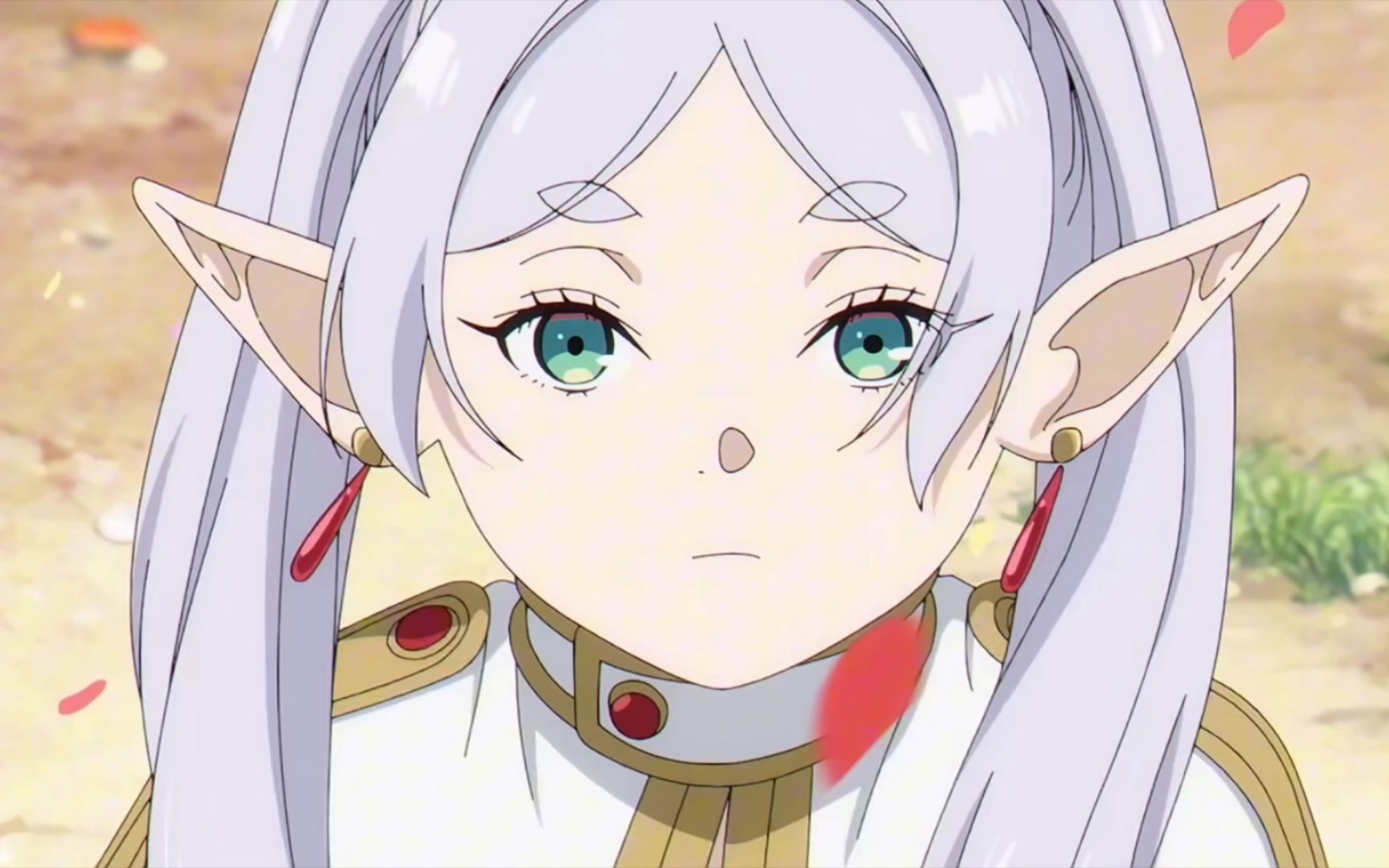 热播6